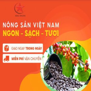 cà phê hạt moka đăc lắc cà phê hạt moka đăc lắc