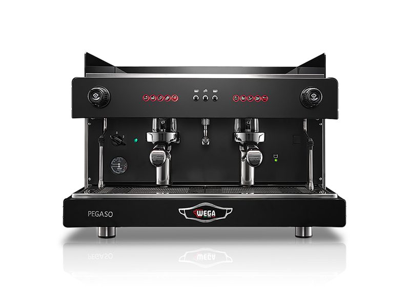 21.-WEGA-PEAGASO-2-GR